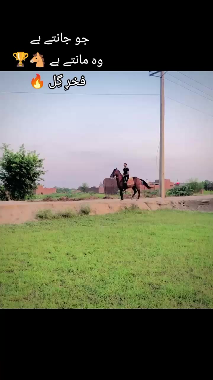 @احمد گل نمبر دار