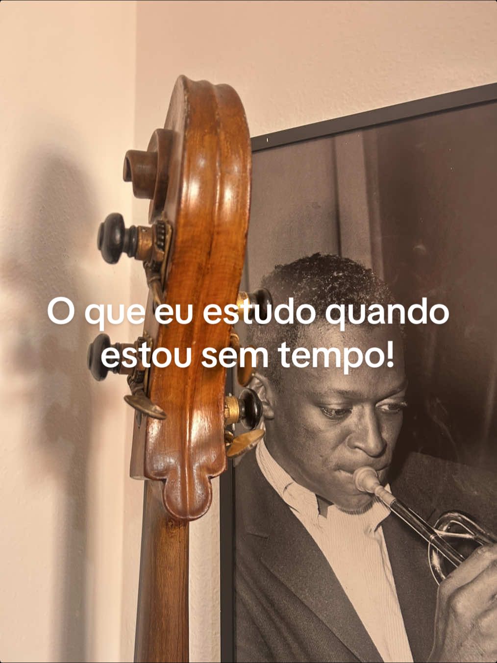 @Gustavo Sato