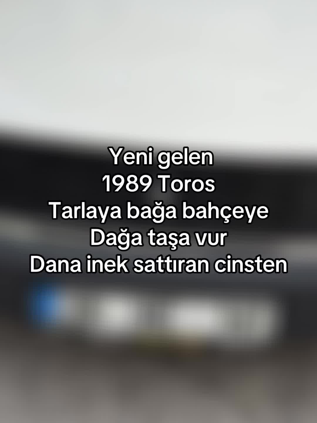 @Kadir Işık