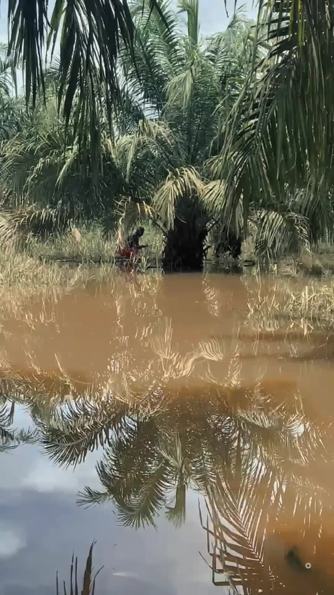@𝙎𝙪𝙡𝙡𝙡.