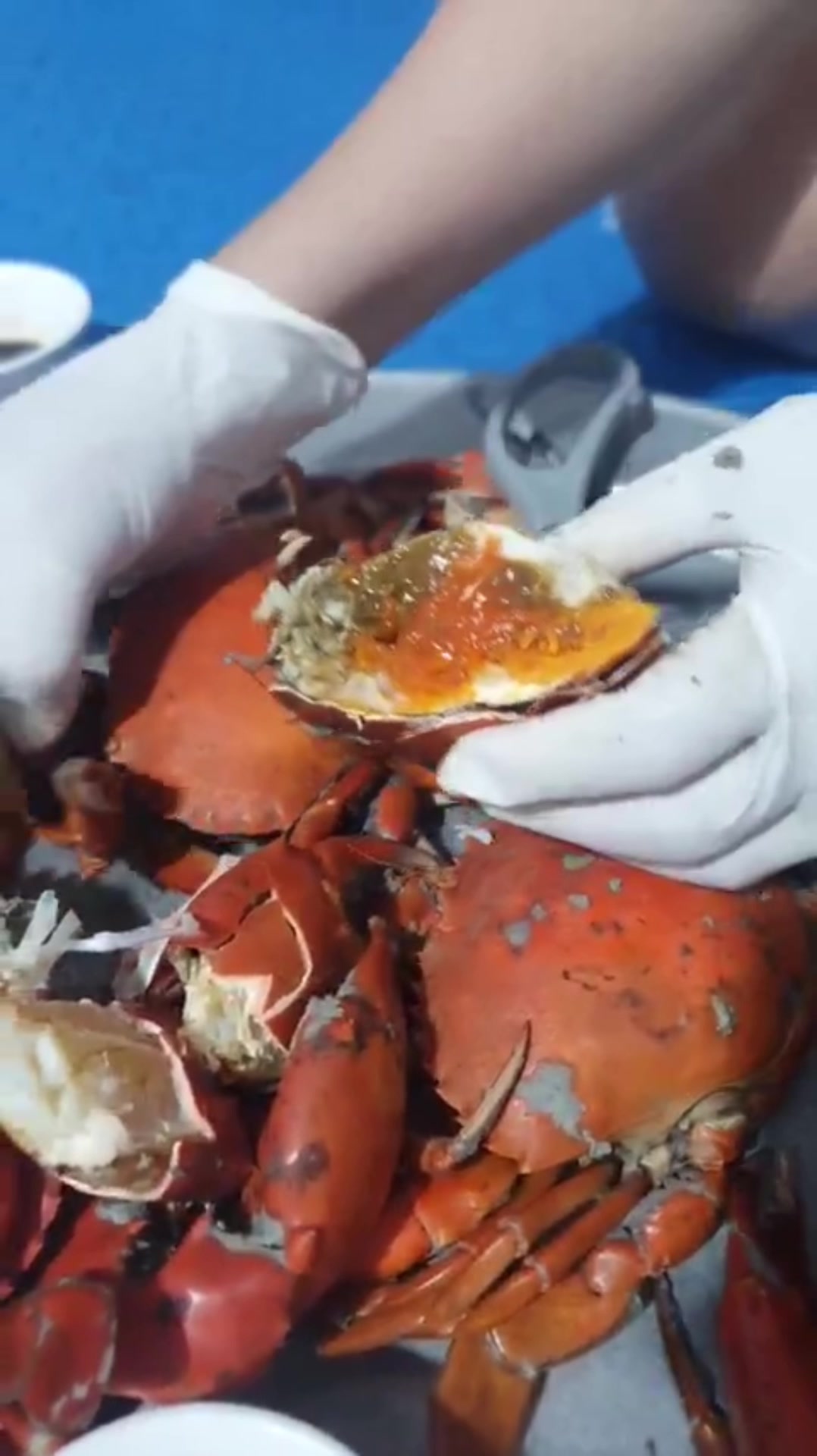 @Mai Điệp,t&ocirc;m,cua,mực,c&agrave; mau.