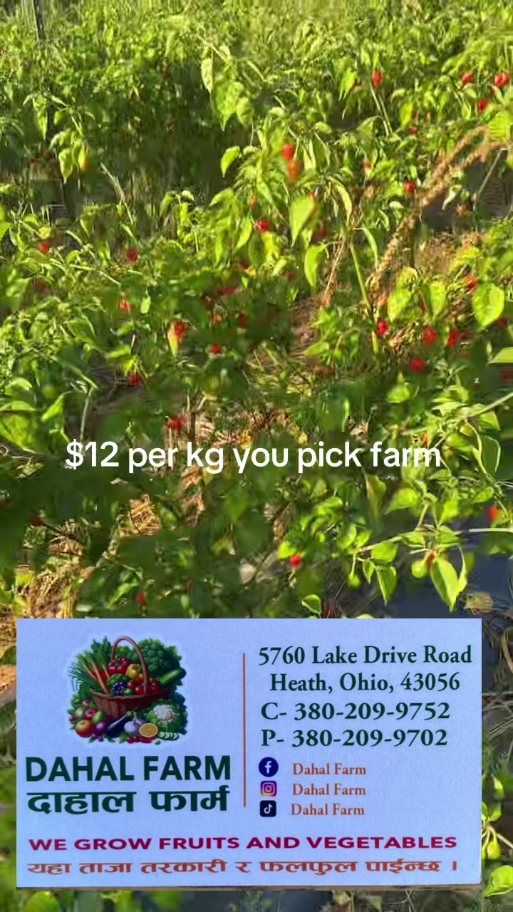 @B.A Organic Farm(380)209-9752