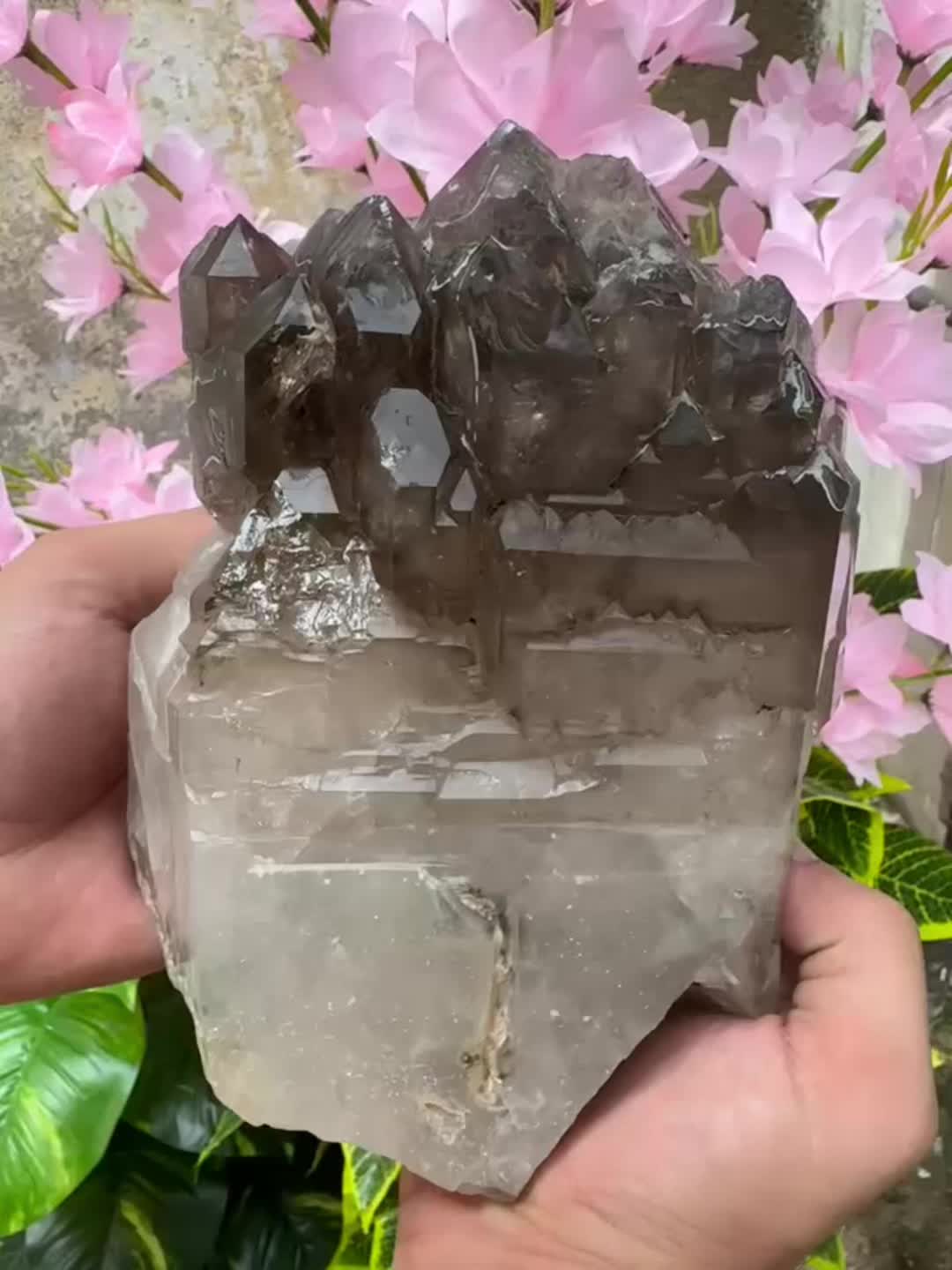 @Crystal NM
