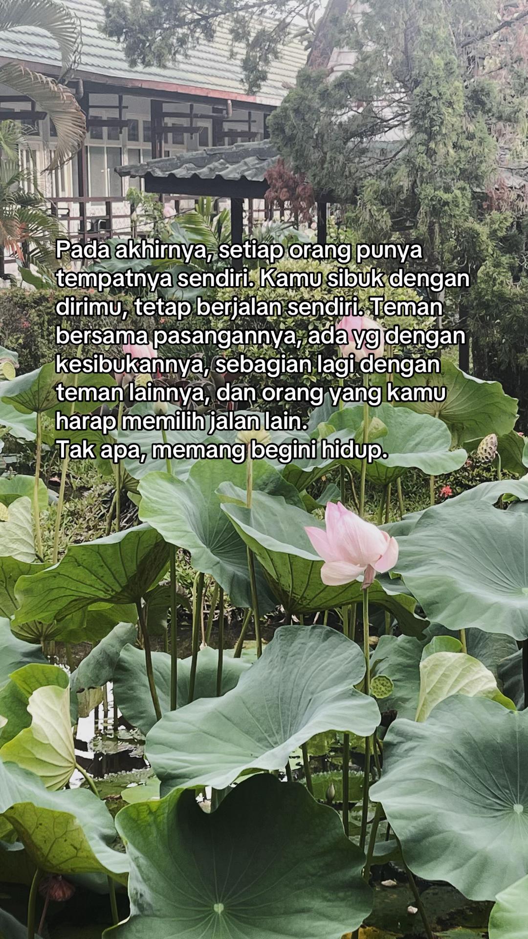 @Hiyouri