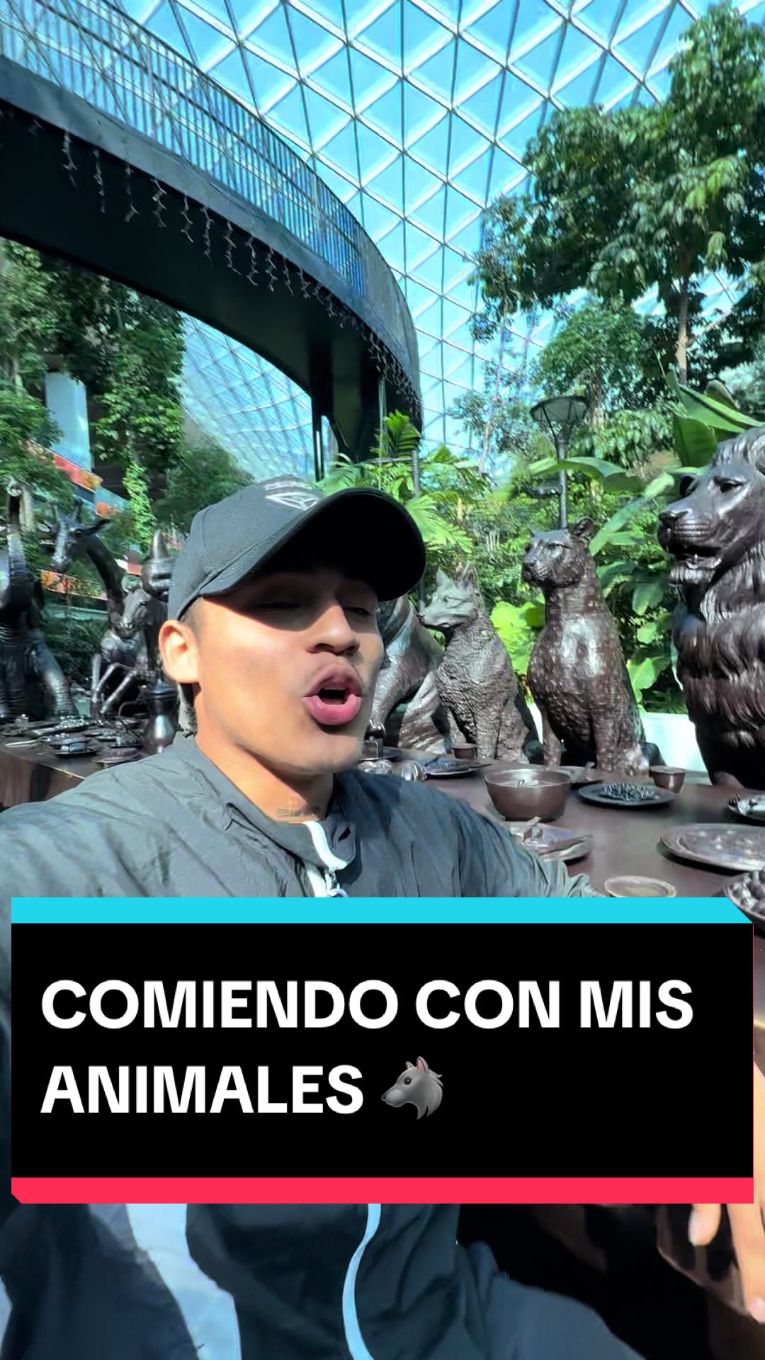 @VASQUEZ-LOBO
