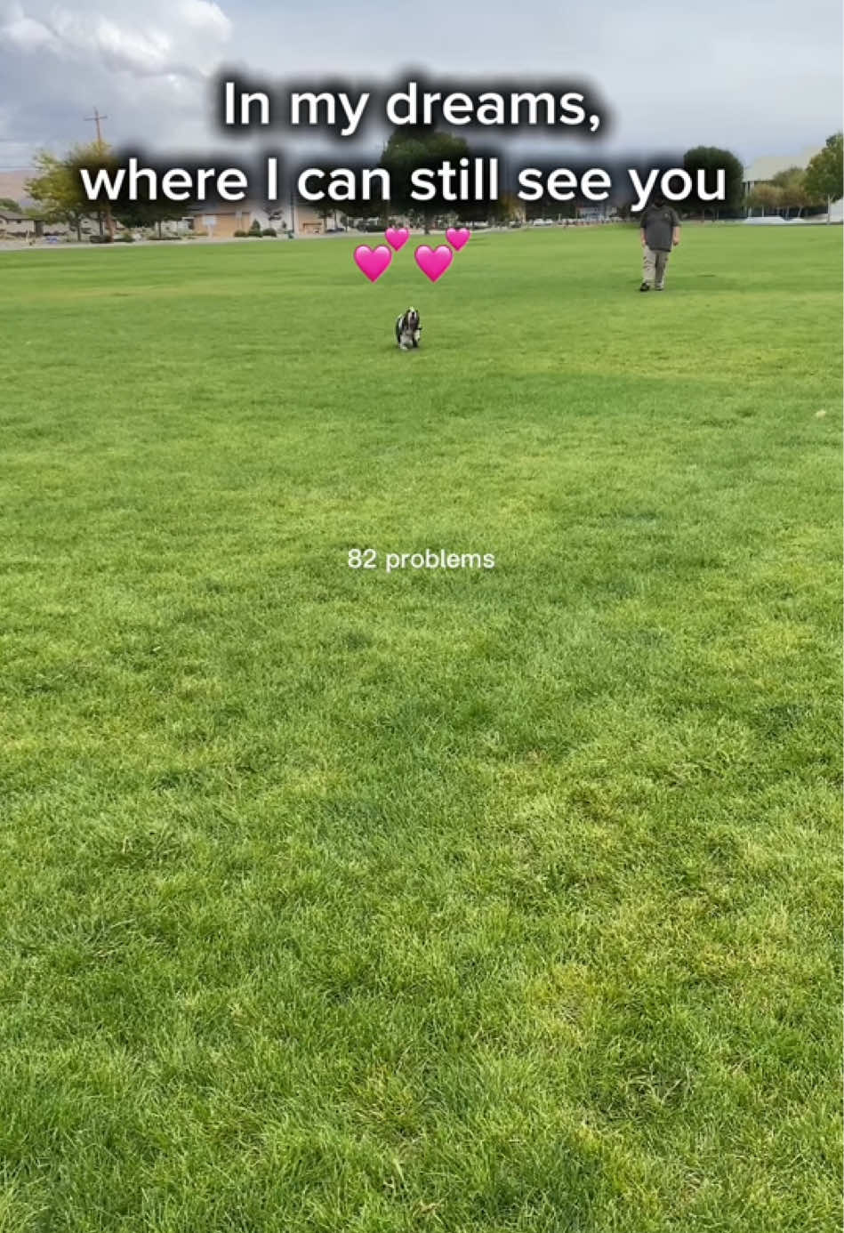 @ruledbyhounds