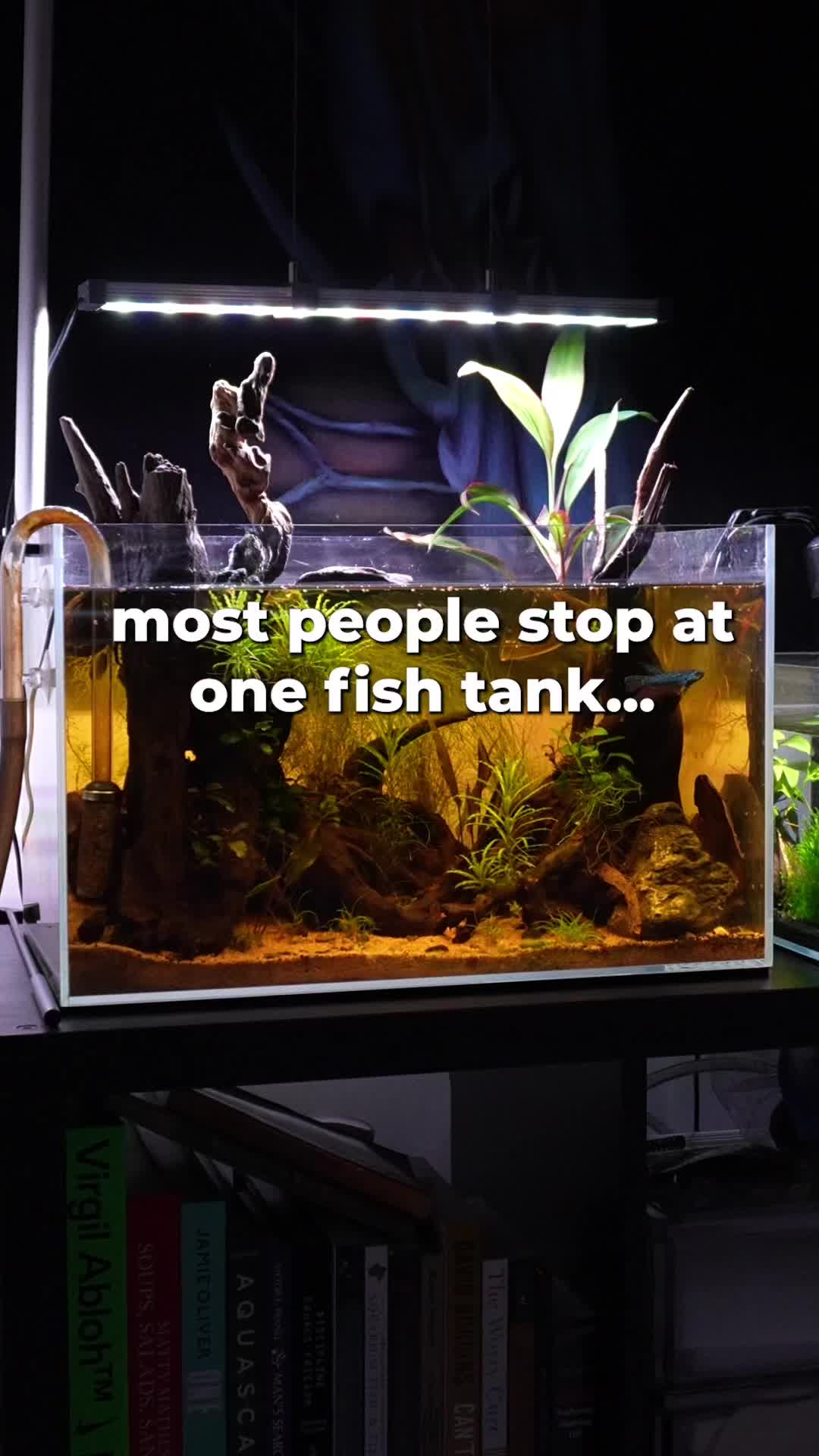 @tankinhabit