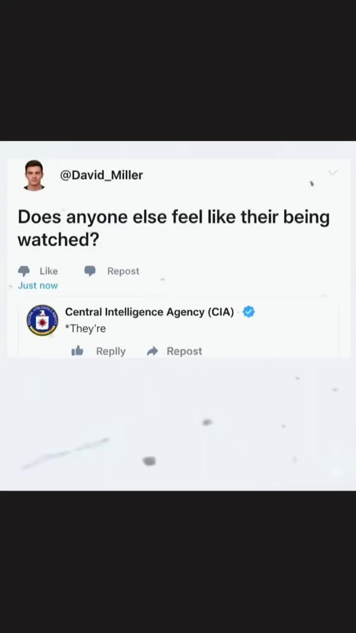 @TheMemeBender