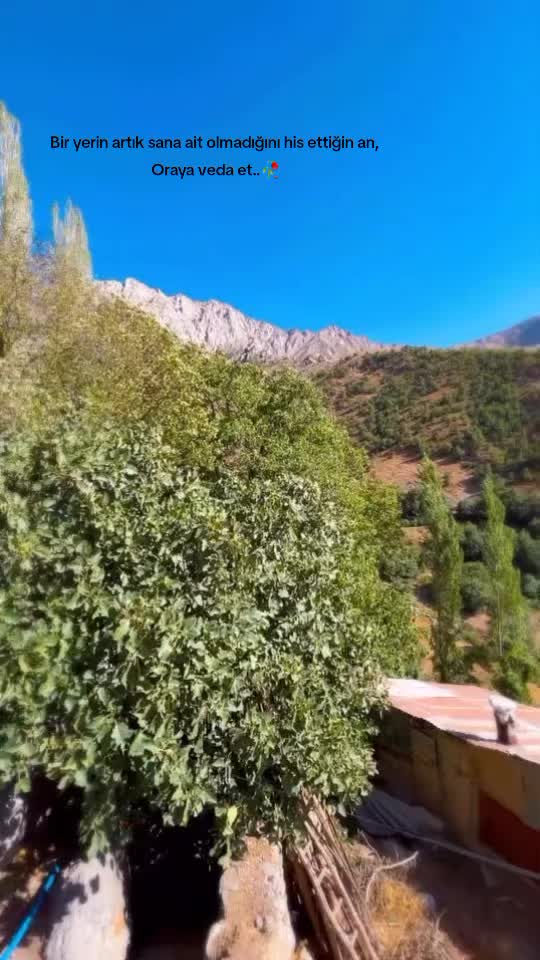 @Hiva gever