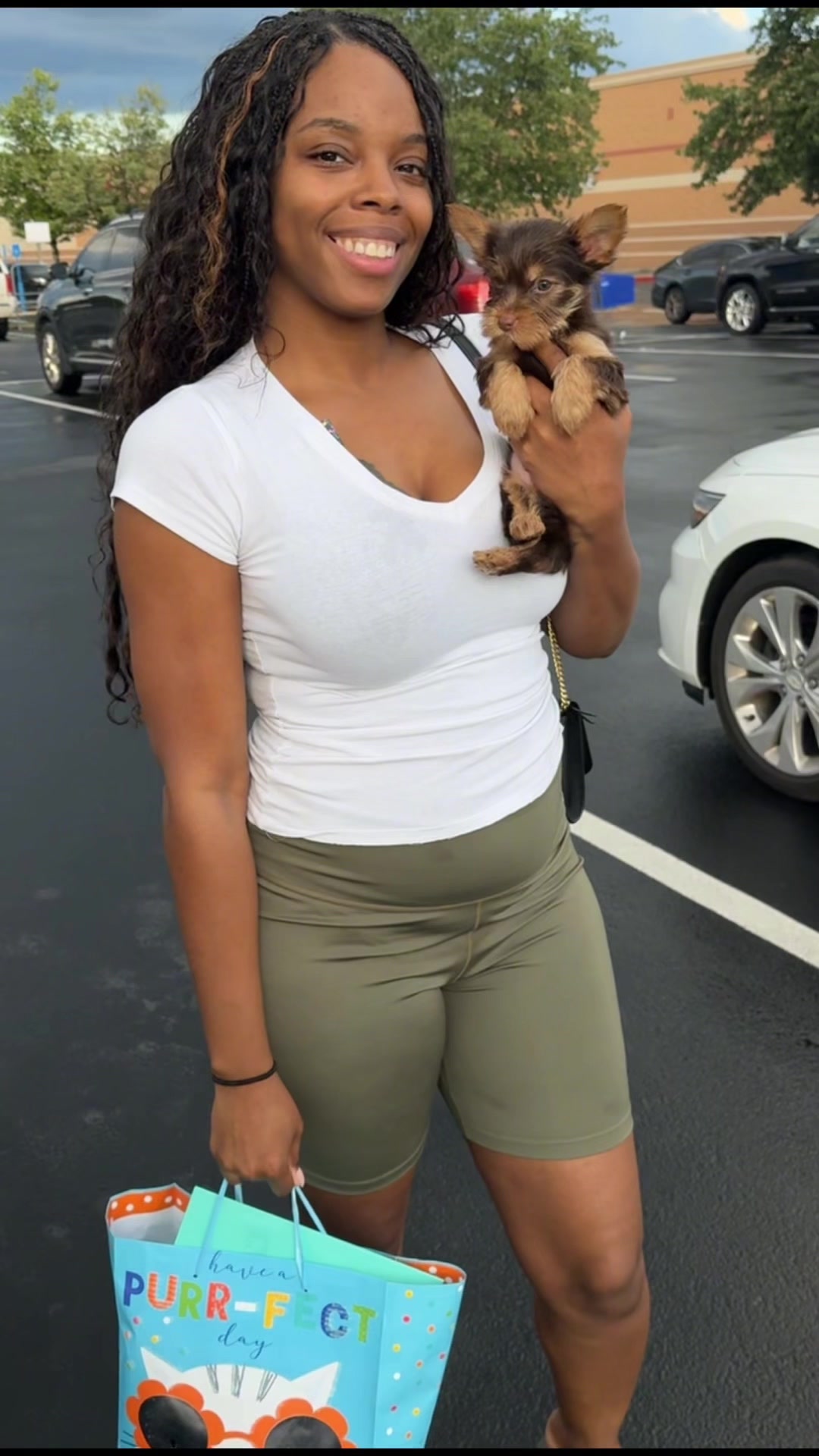 @Yorkies Of Atlanta