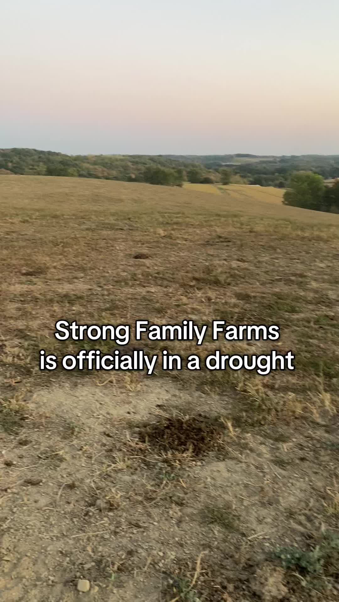 @Strong Family Farms