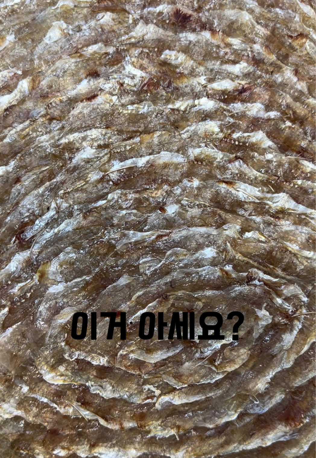 @숭사장(서산마른여자네건어물)