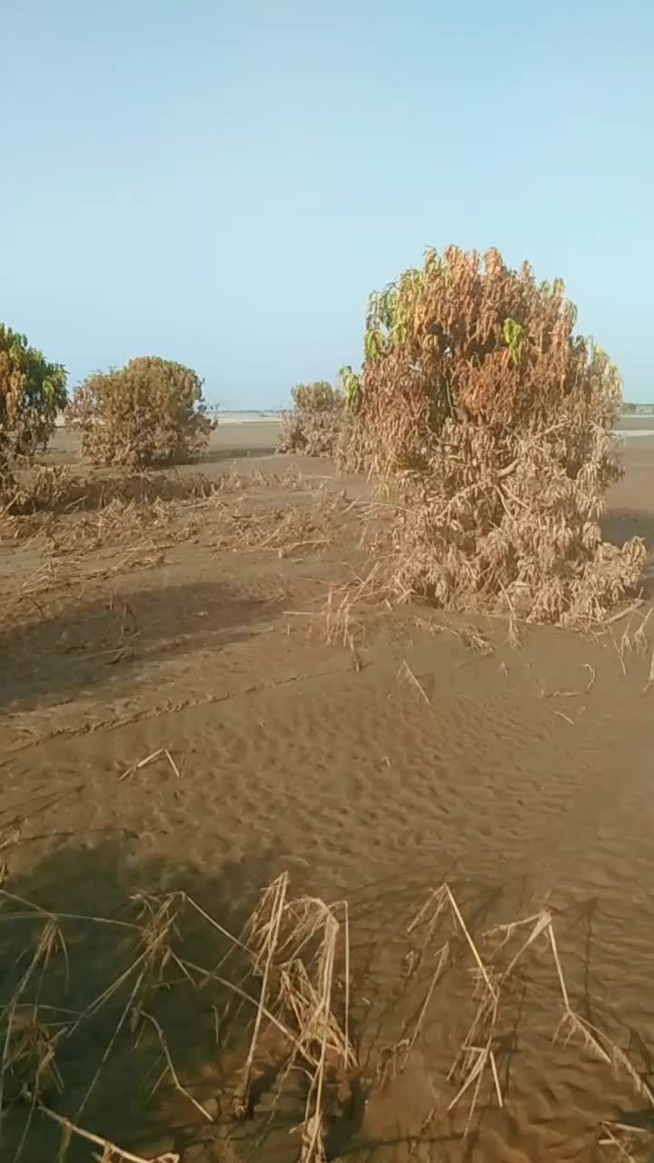 @Malik Bhai8423