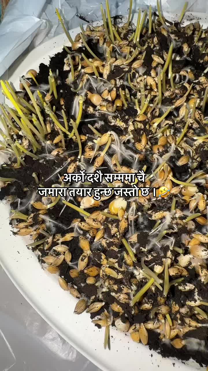 @ᏒᏬᎮᏗ🤍