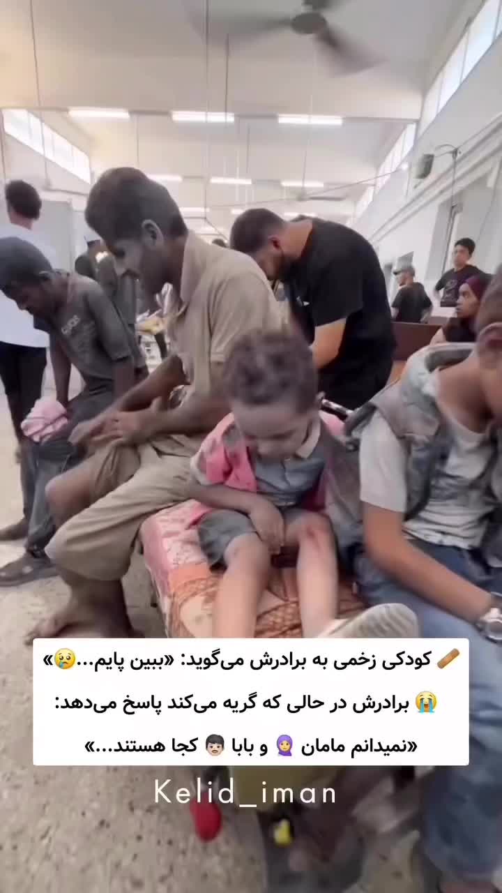 @hayedehSed