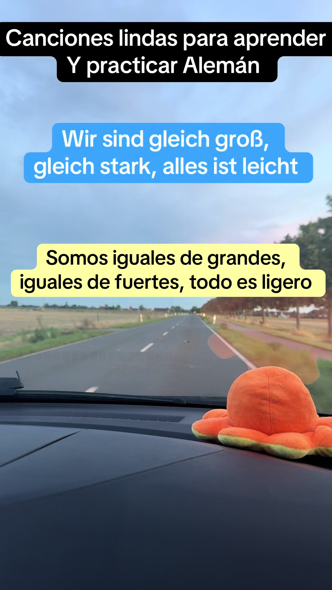 @Mam&aacute; Latina Migrante