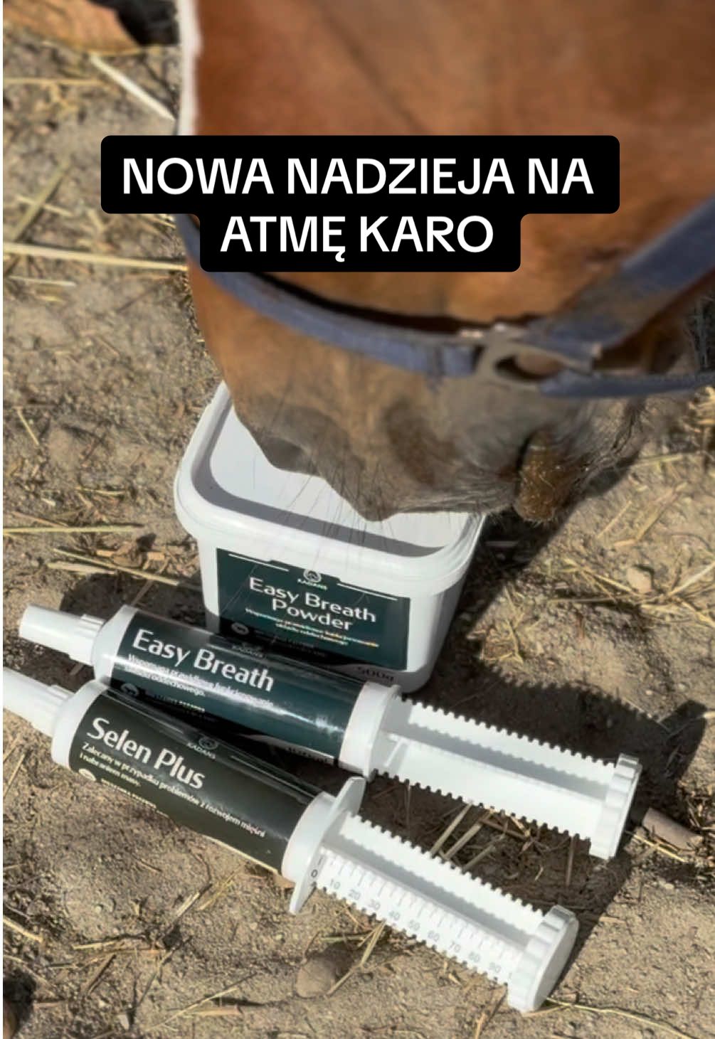 @Harmonia Jeździectwa