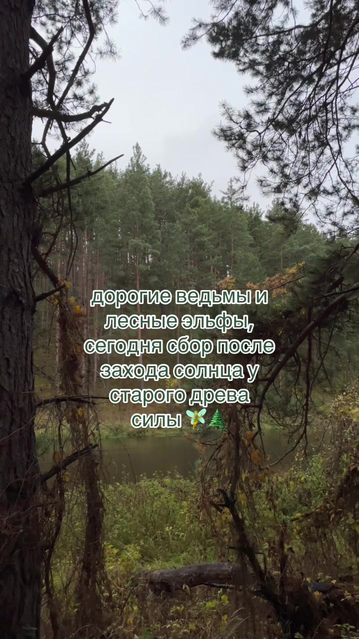 @ell_nature🏴󠁧󠁢󠁷󠁬󠁳󠁿