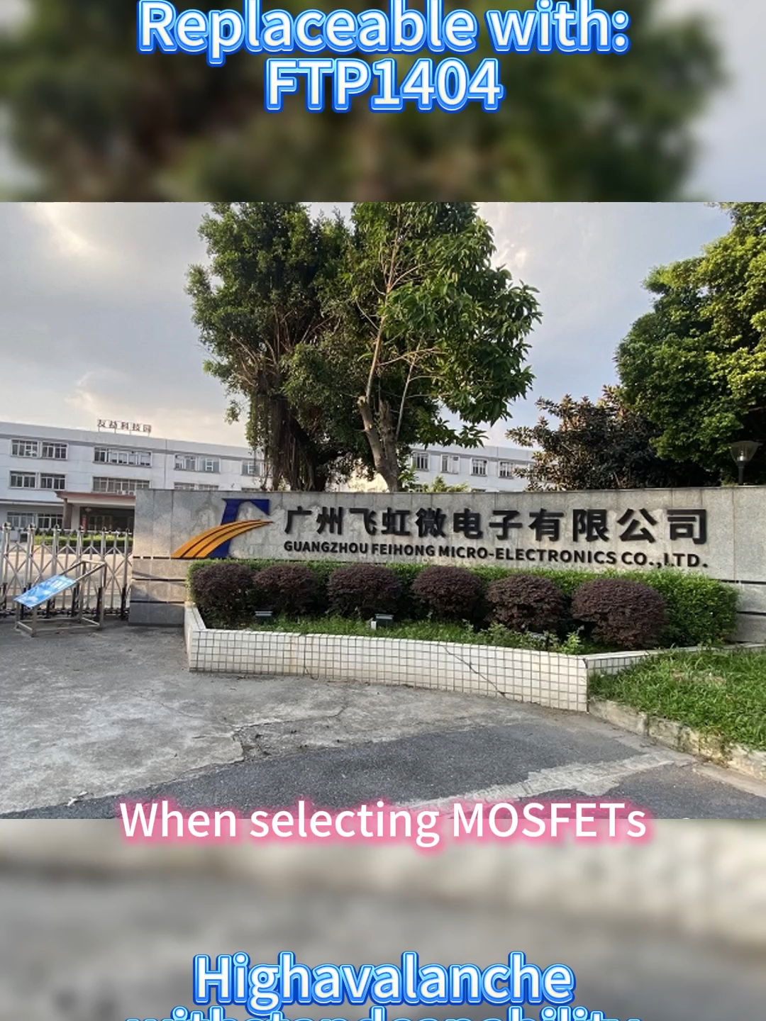 @feihong_mos