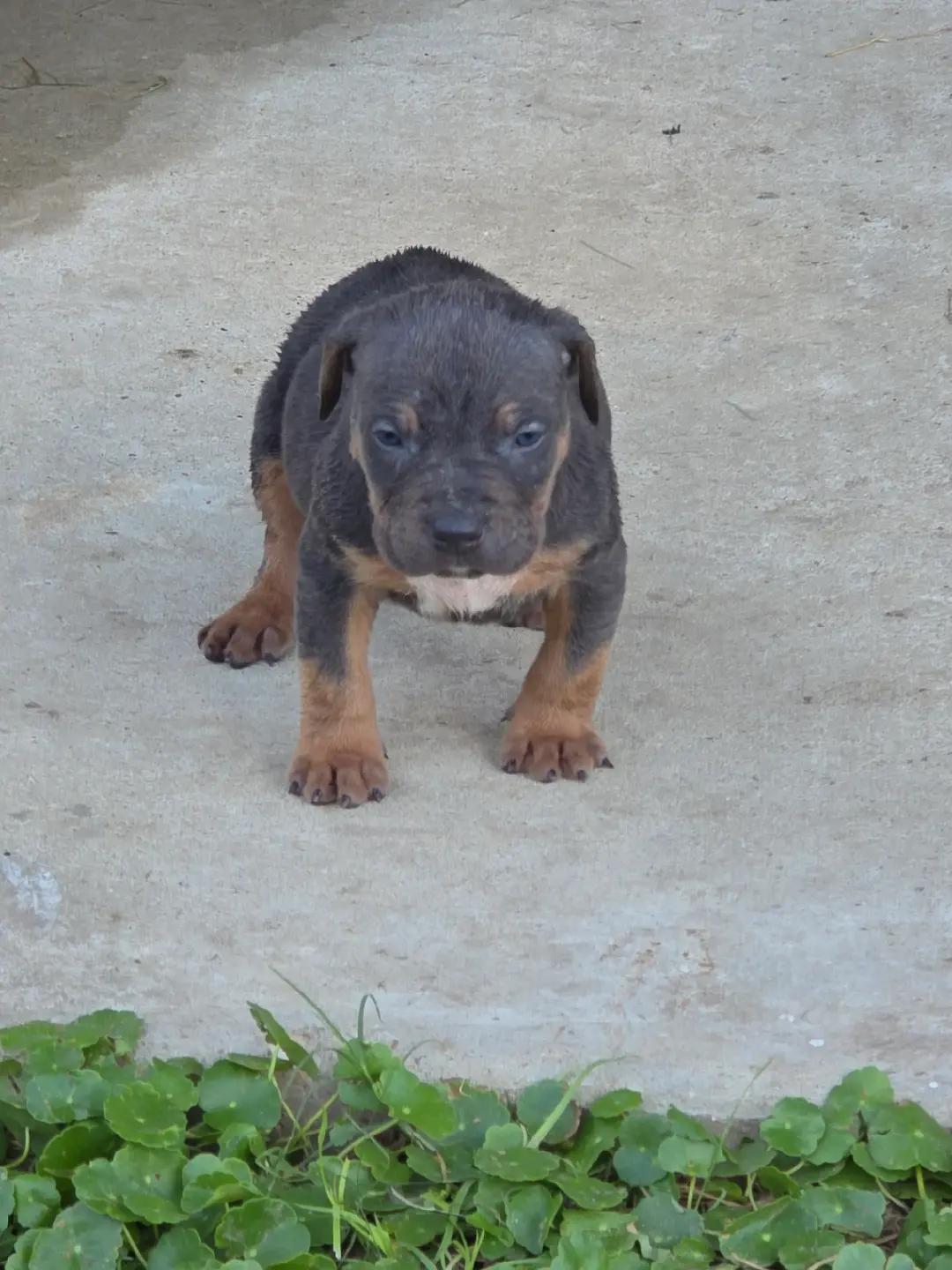 @Hera_The_Bully