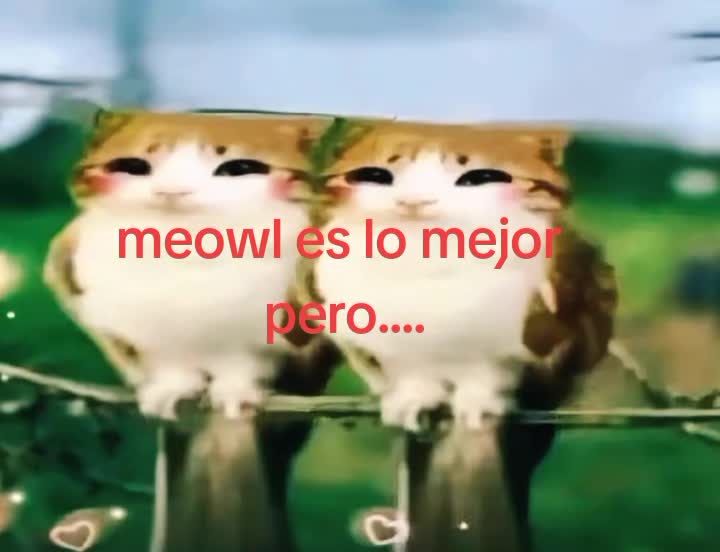 @meowl
