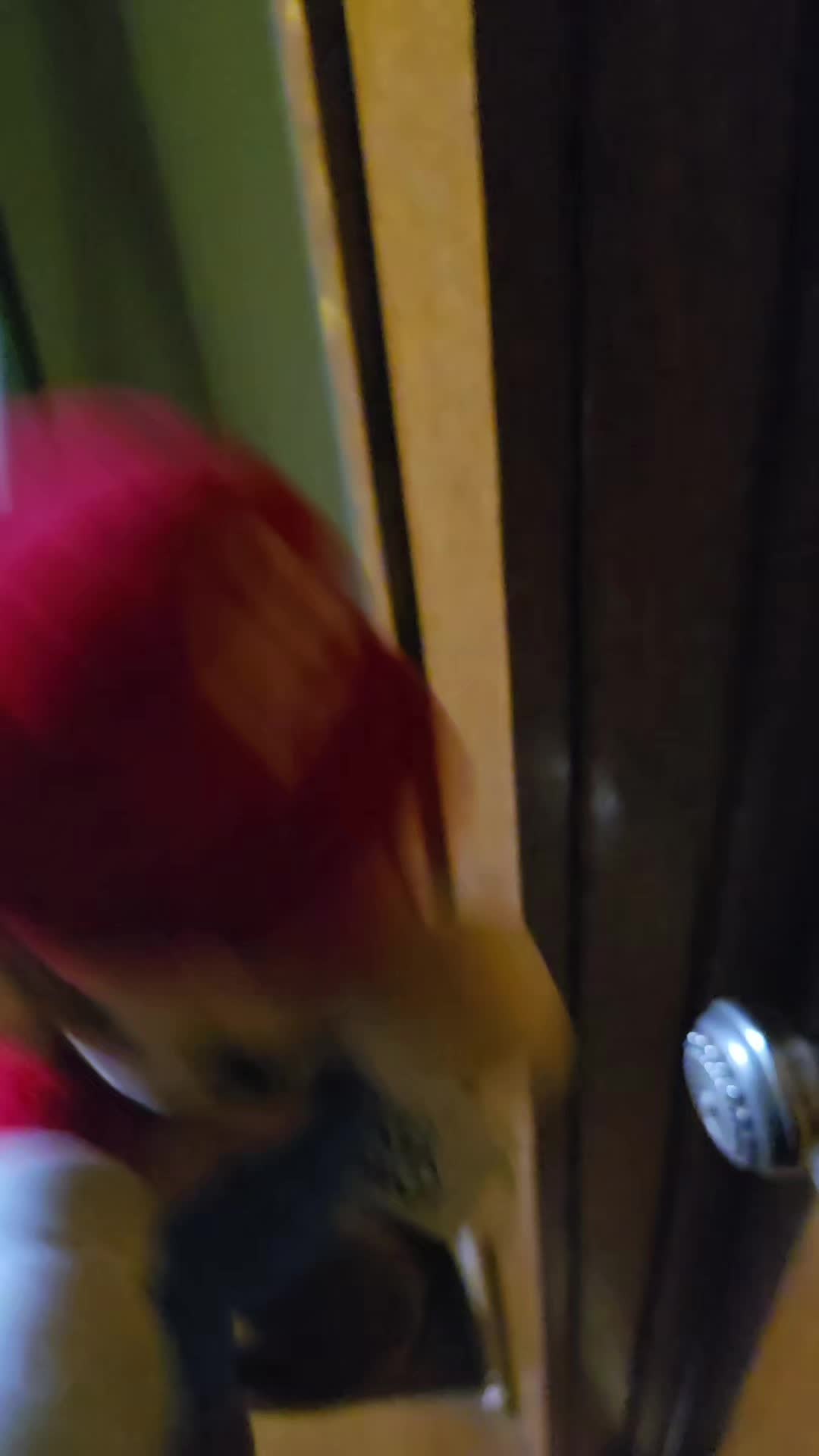 @Shadobro2011