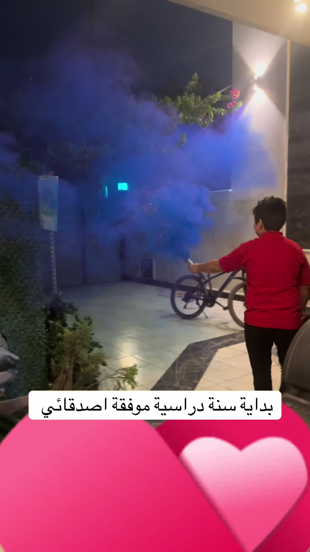 @شوشو و نونو / تعليم وتسليه