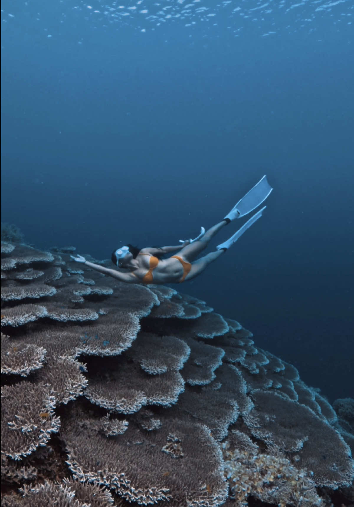 @divewith_eyJ