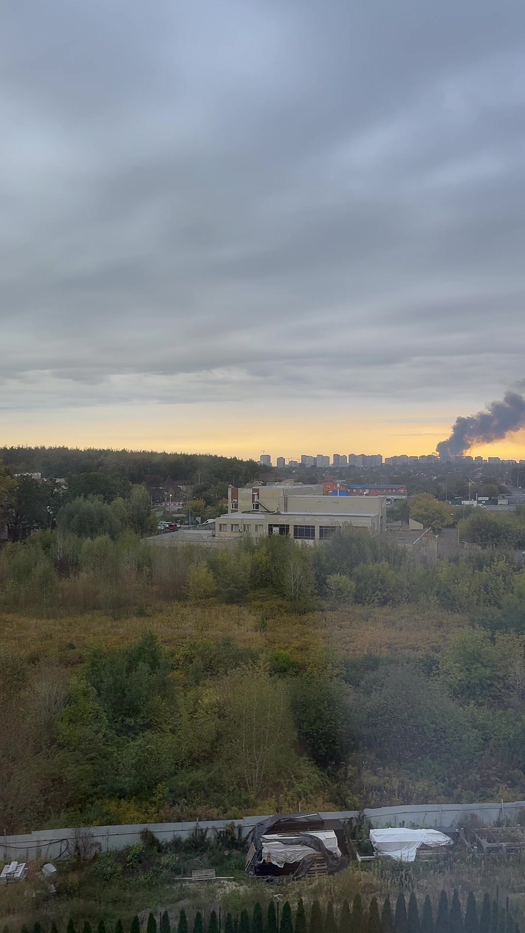 @супероксиддисмутаза