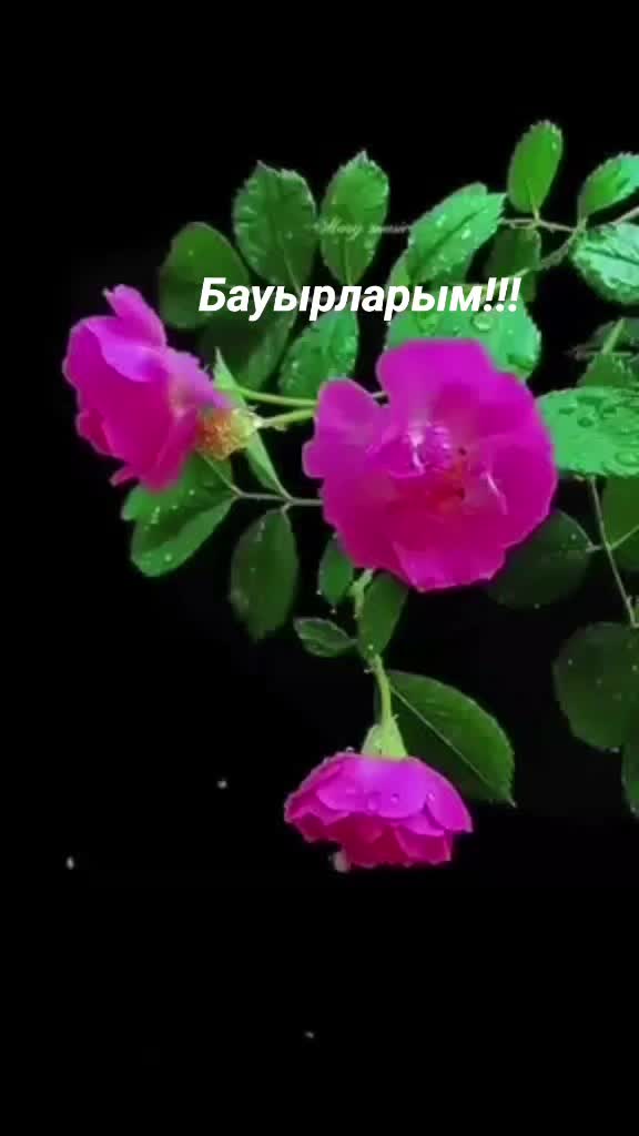 @Kadishovaa_zhanar