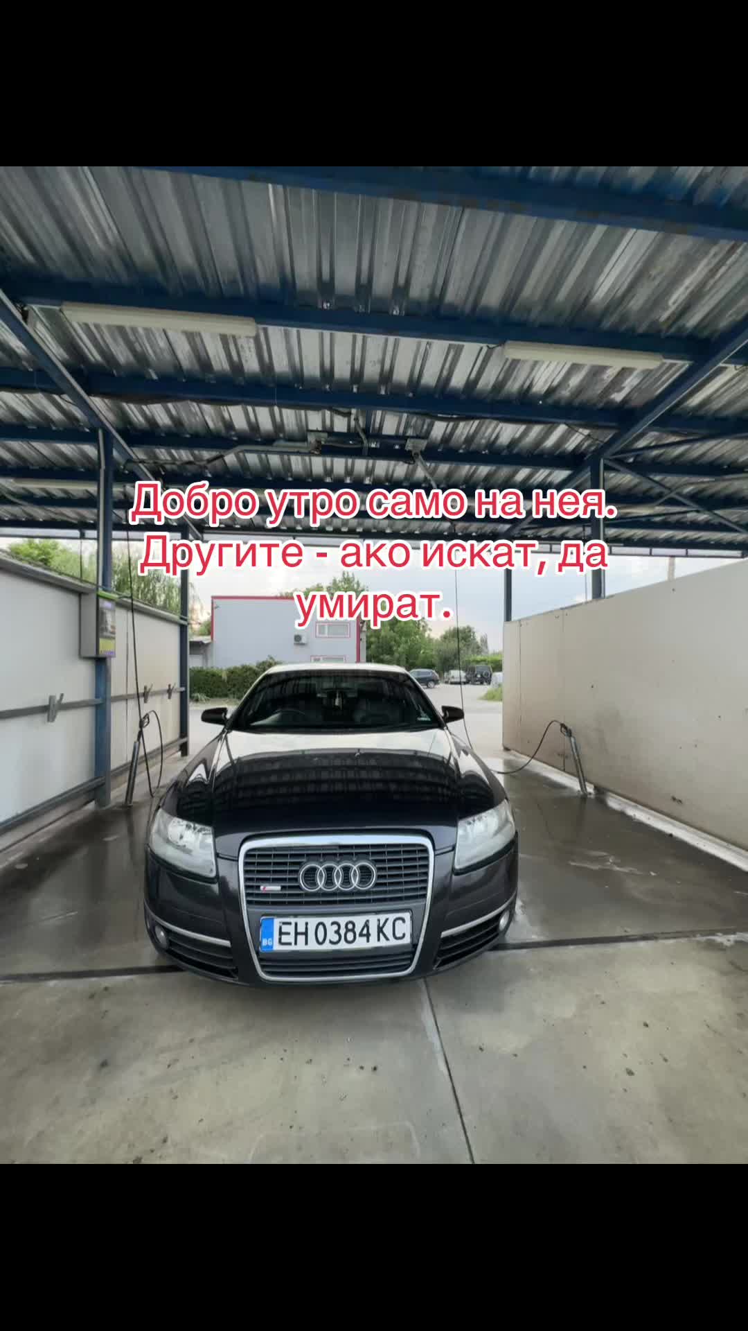 @ivvchoo.🦁