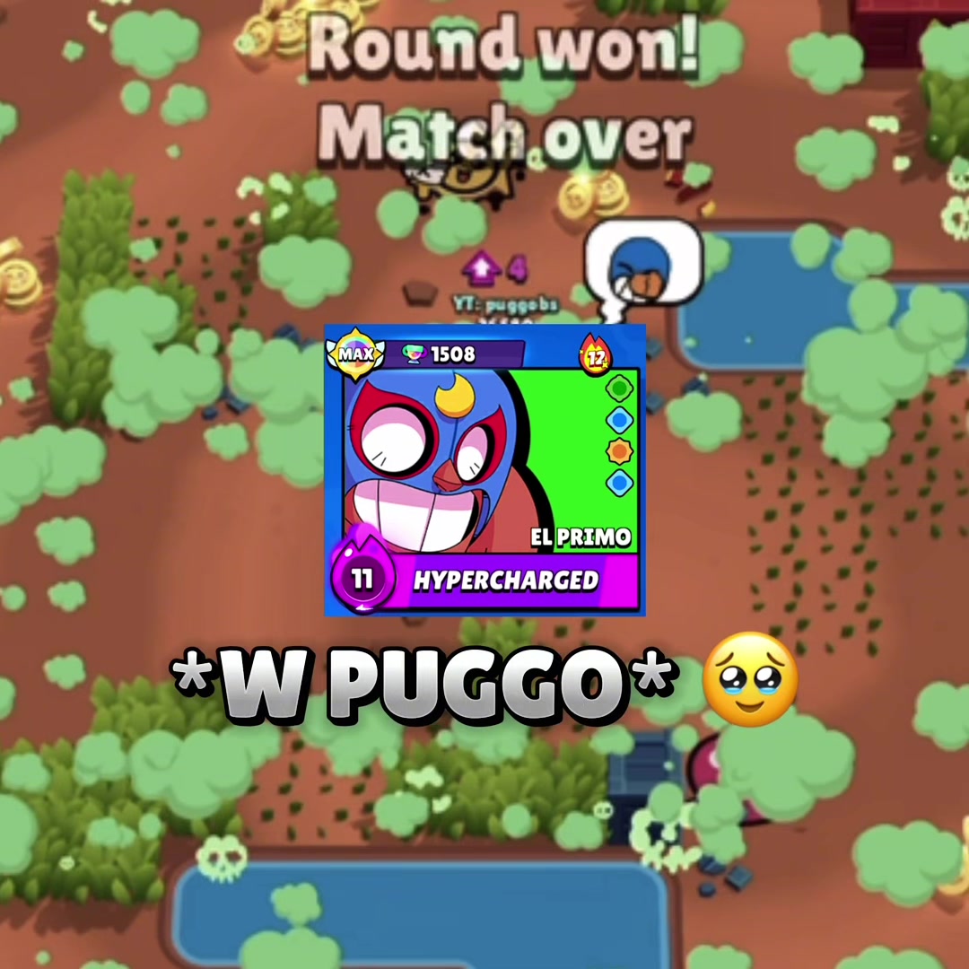 @puggo ↯