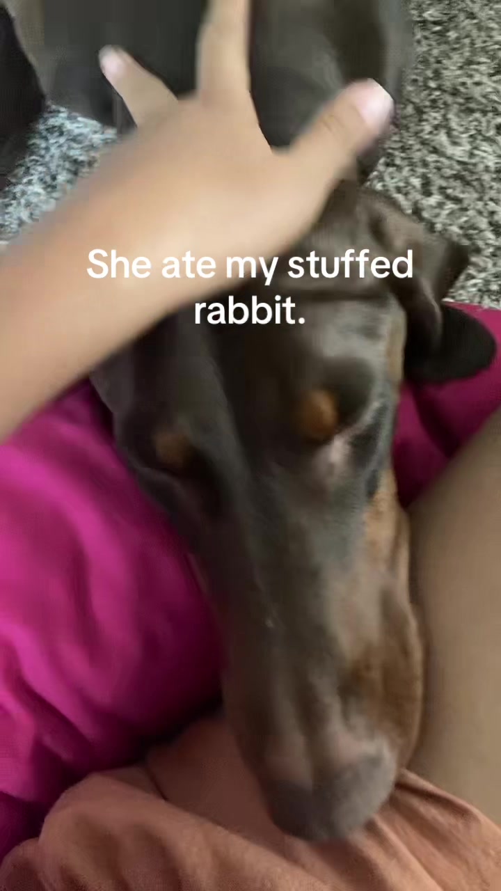 @🦓🦓🦎🦓🦓