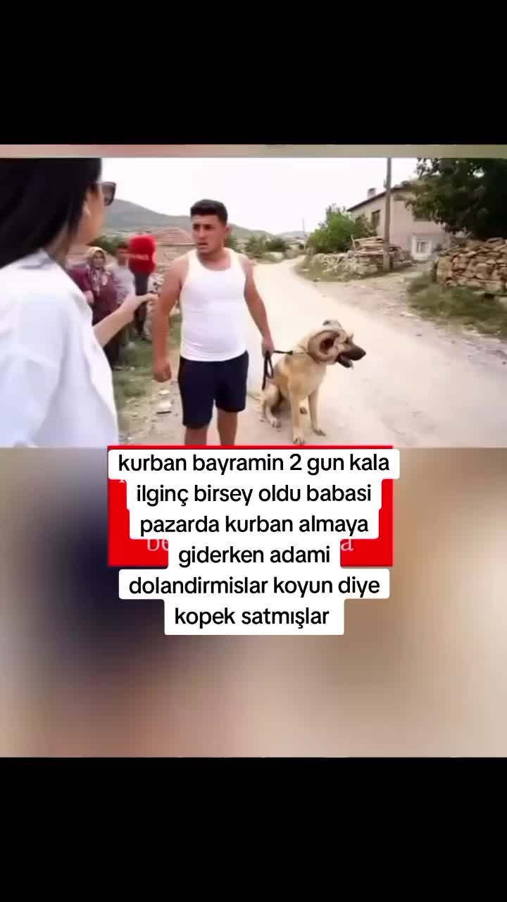 @Suskun