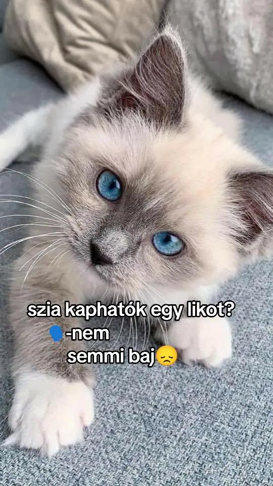 @💎Ancsa_vagyok💎