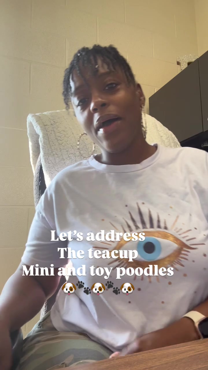 @Shortcake_kennel_2