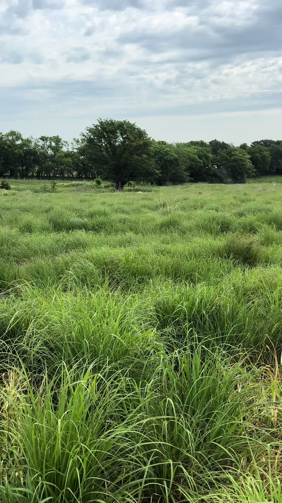 @jpdroneservicellc