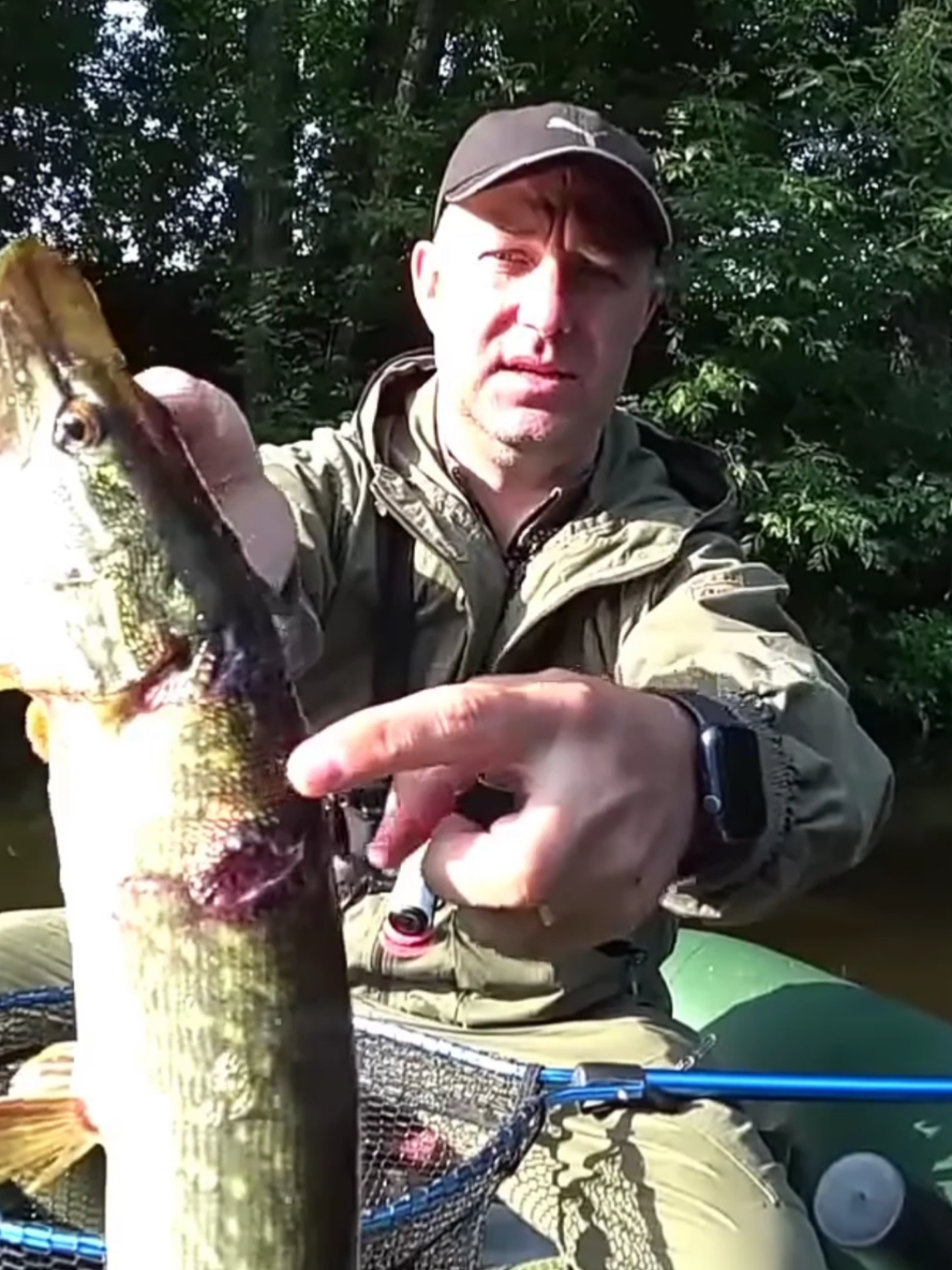 @ribalka_fishing