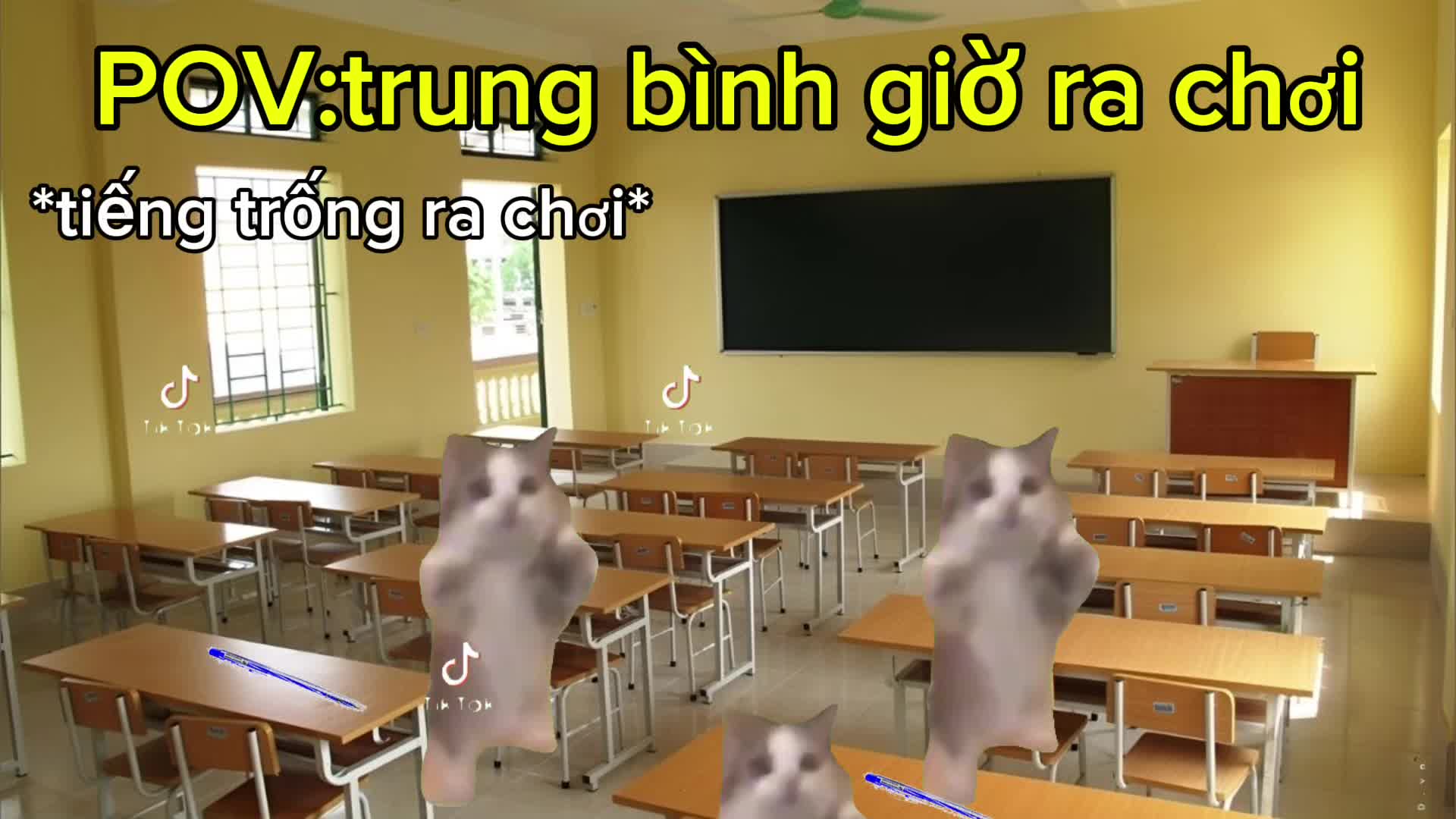 @Mewmeme