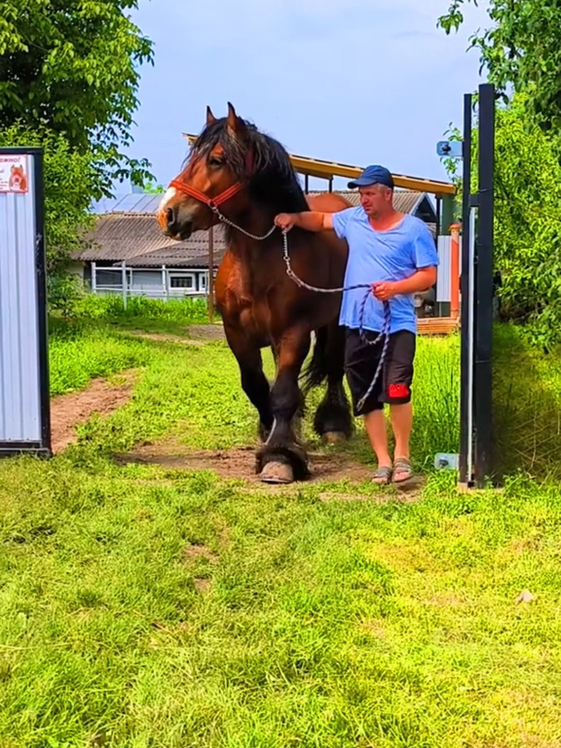 @ВАСЯ БОЙЧУК 🐎
