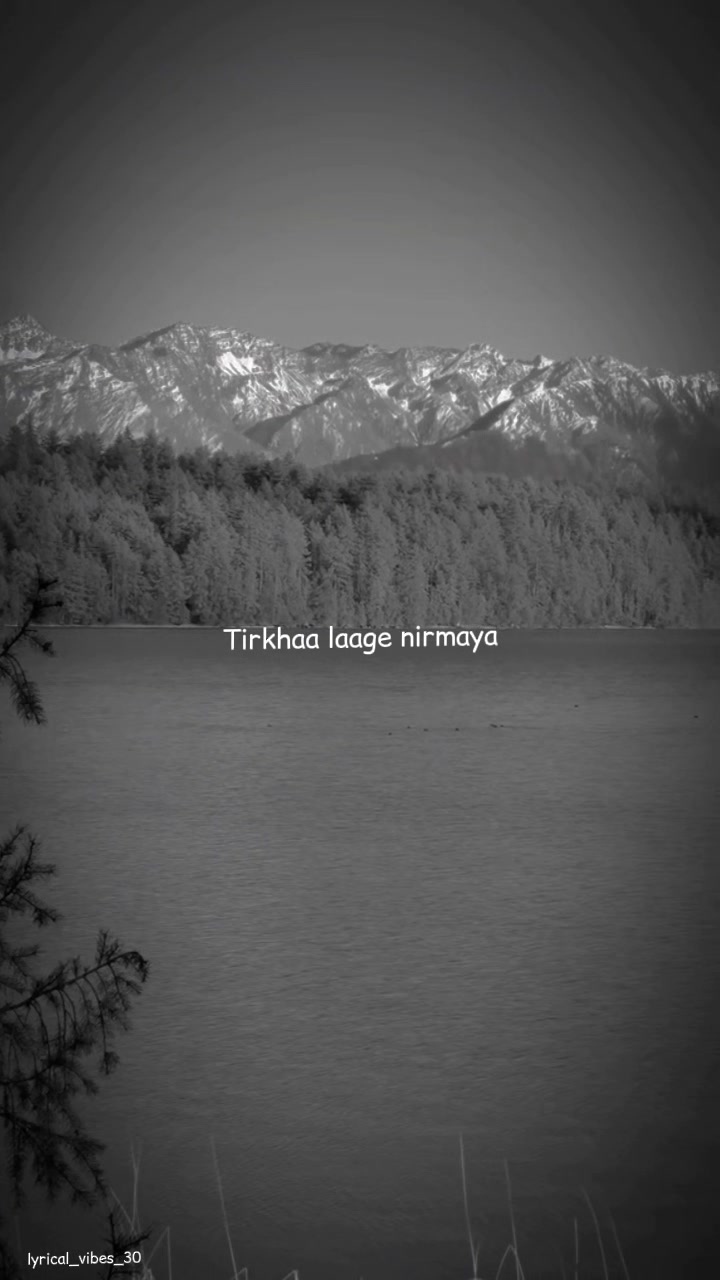 @𝐋𝐲𝐫𝐢𝐜𝐚𝐥 𝐕𝐢𝐛𝐞𝐬
