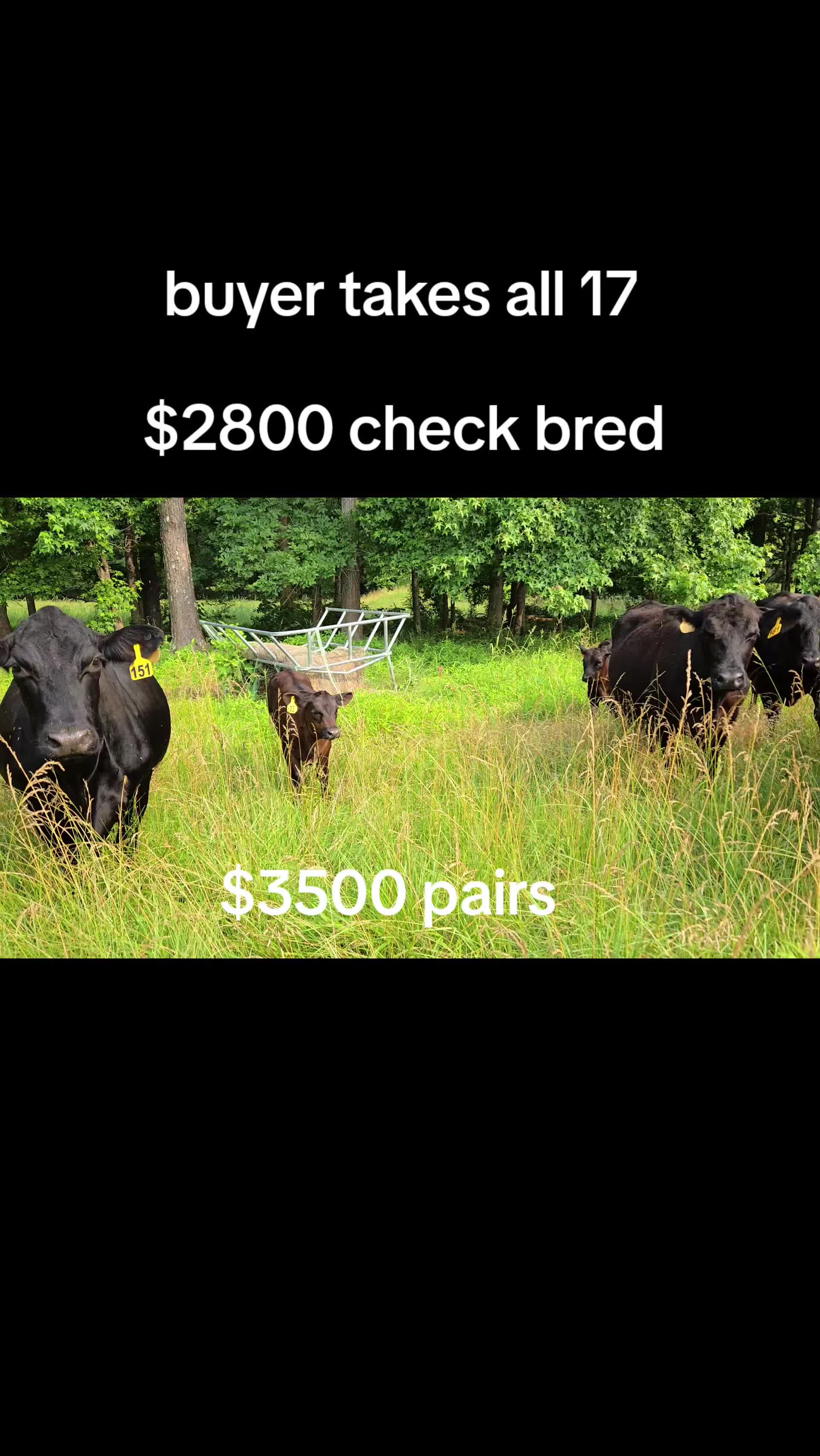 @Windy Ridge Farms