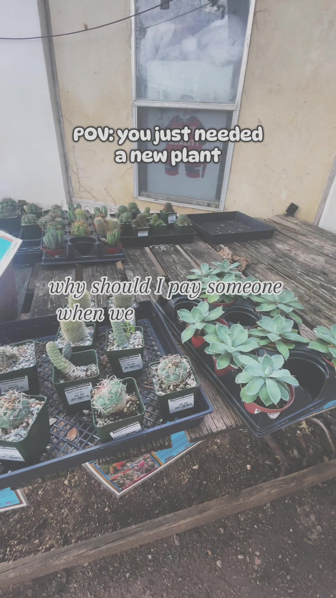 @que3nBeans_plants