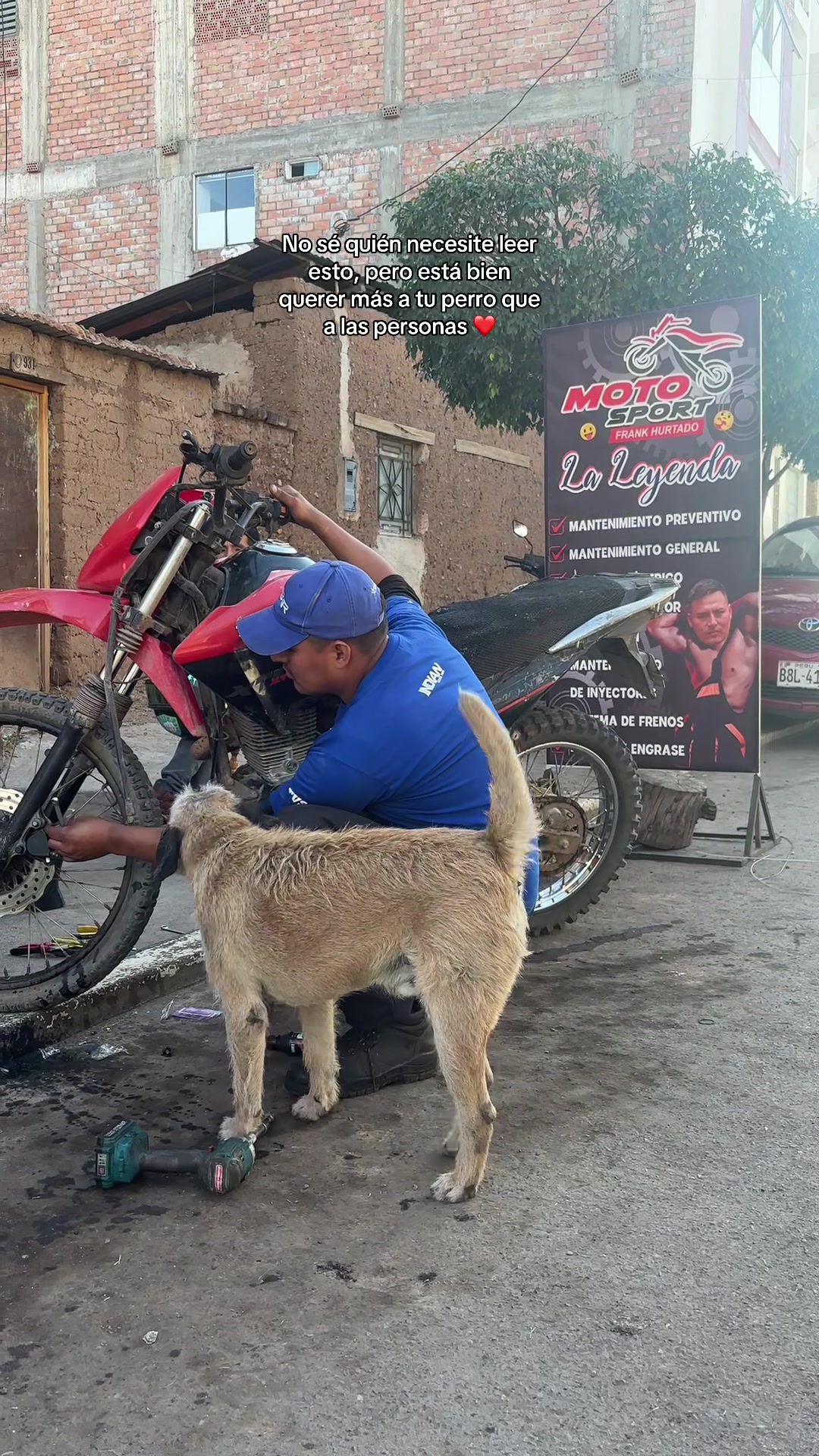 @Cabezotas 🐶