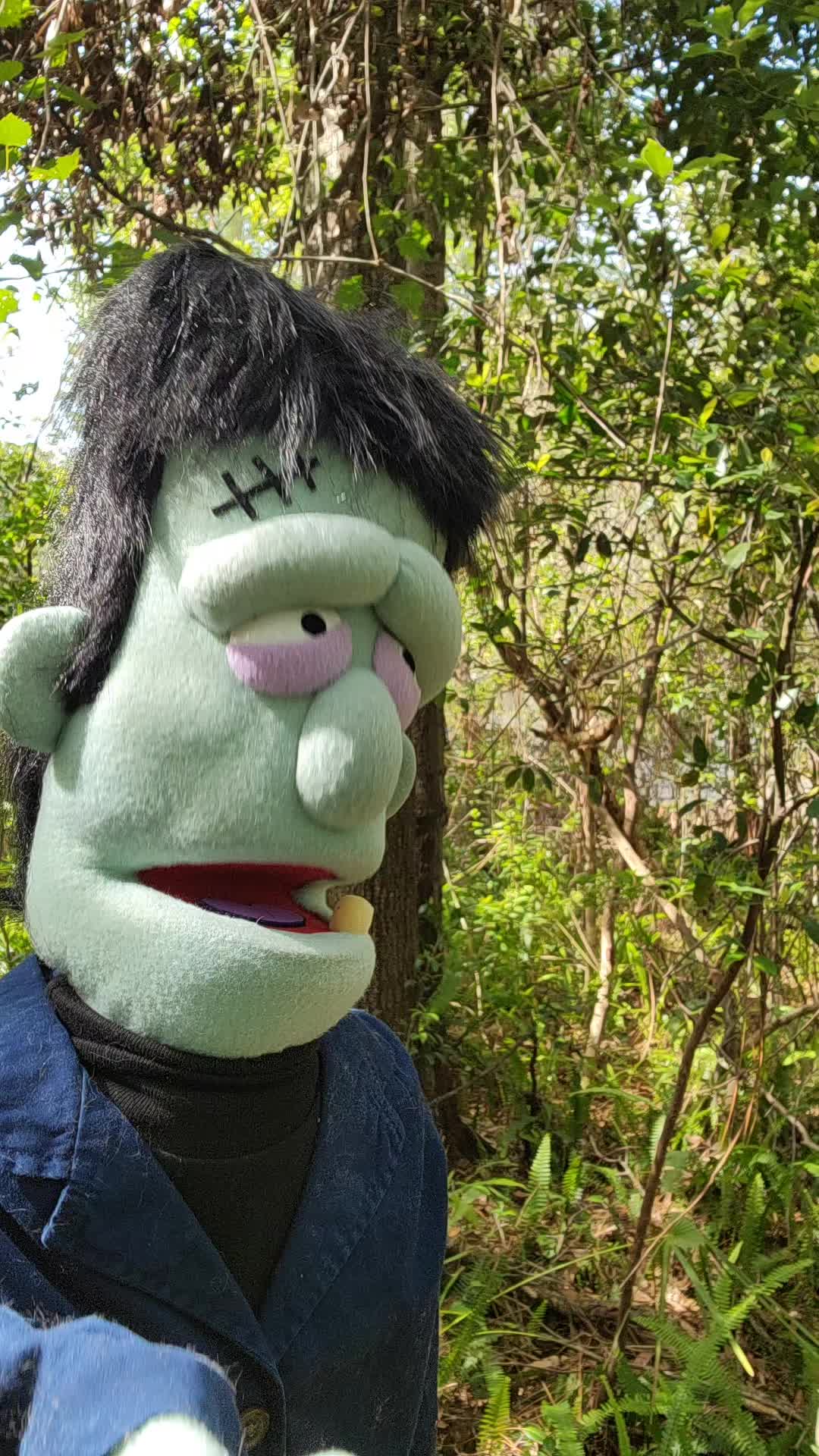 @Misfit Puppets
