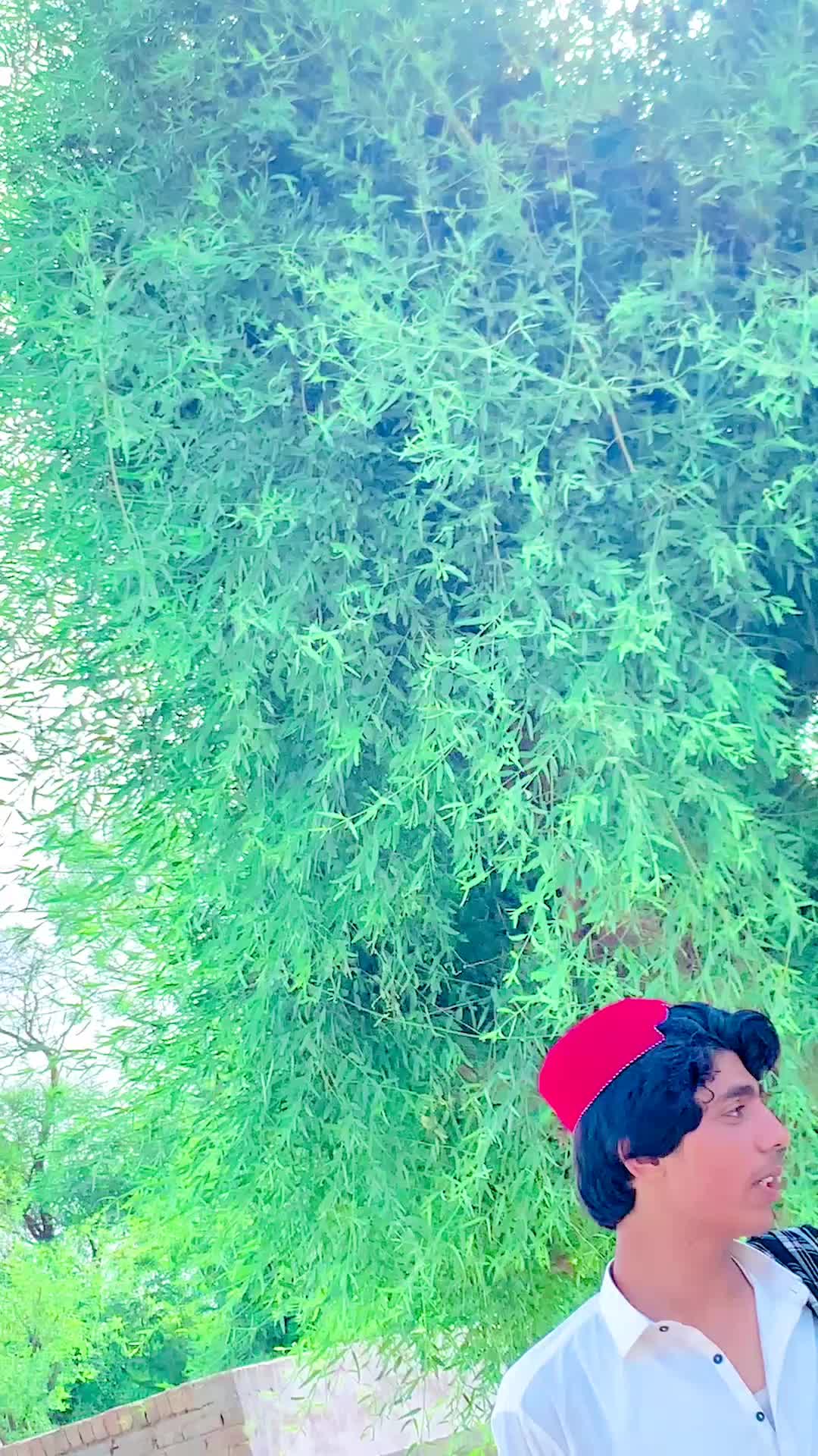 @{<🌹SHAH _FAROOQ🌹>}