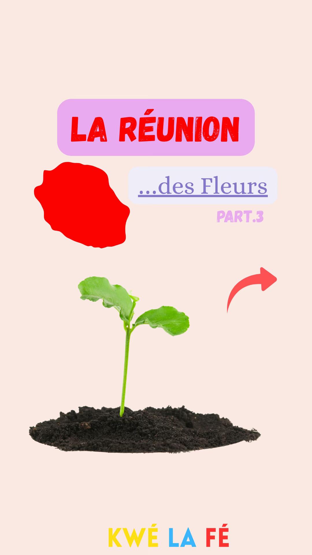 @Kw&eacute;LaF&eacute;🟡🔵🔴