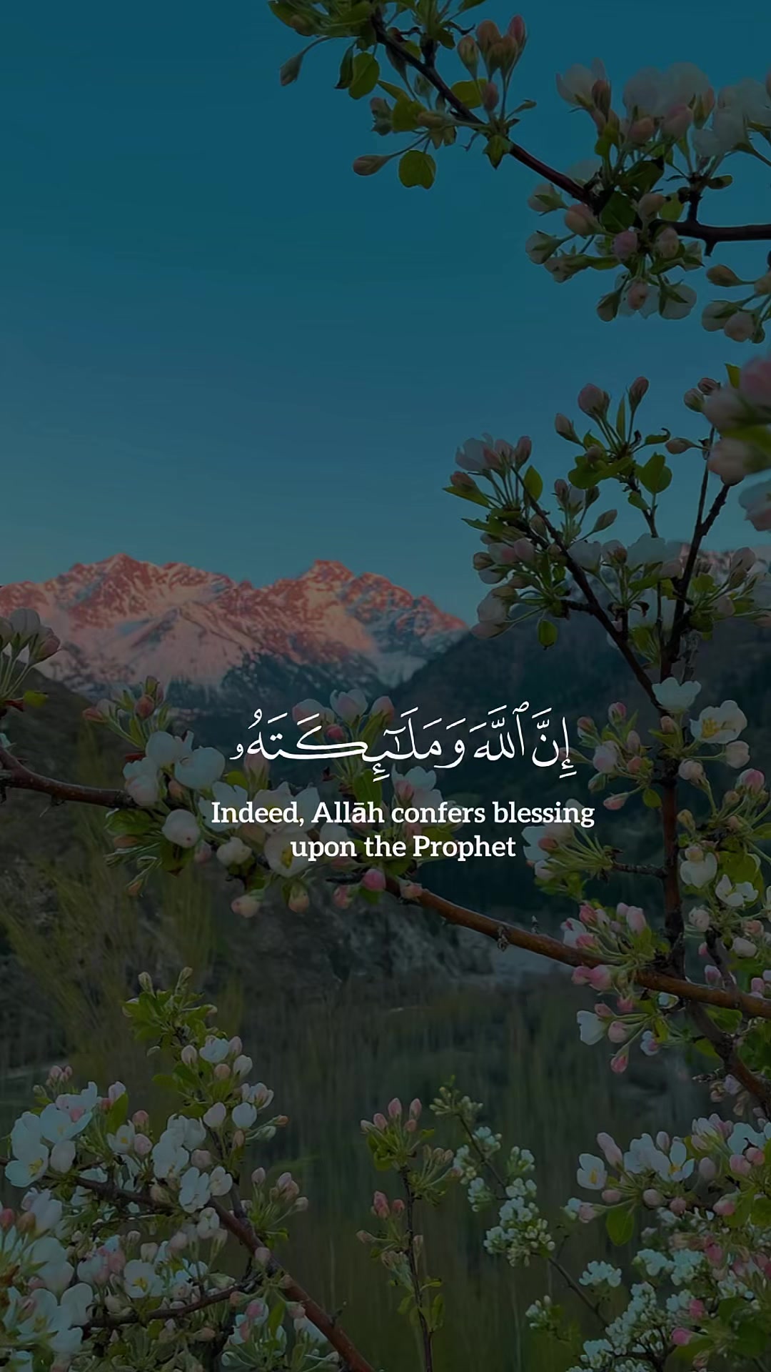 @[QURAN__آيَاتُ ٱلنُّورِ🌐☪️✅