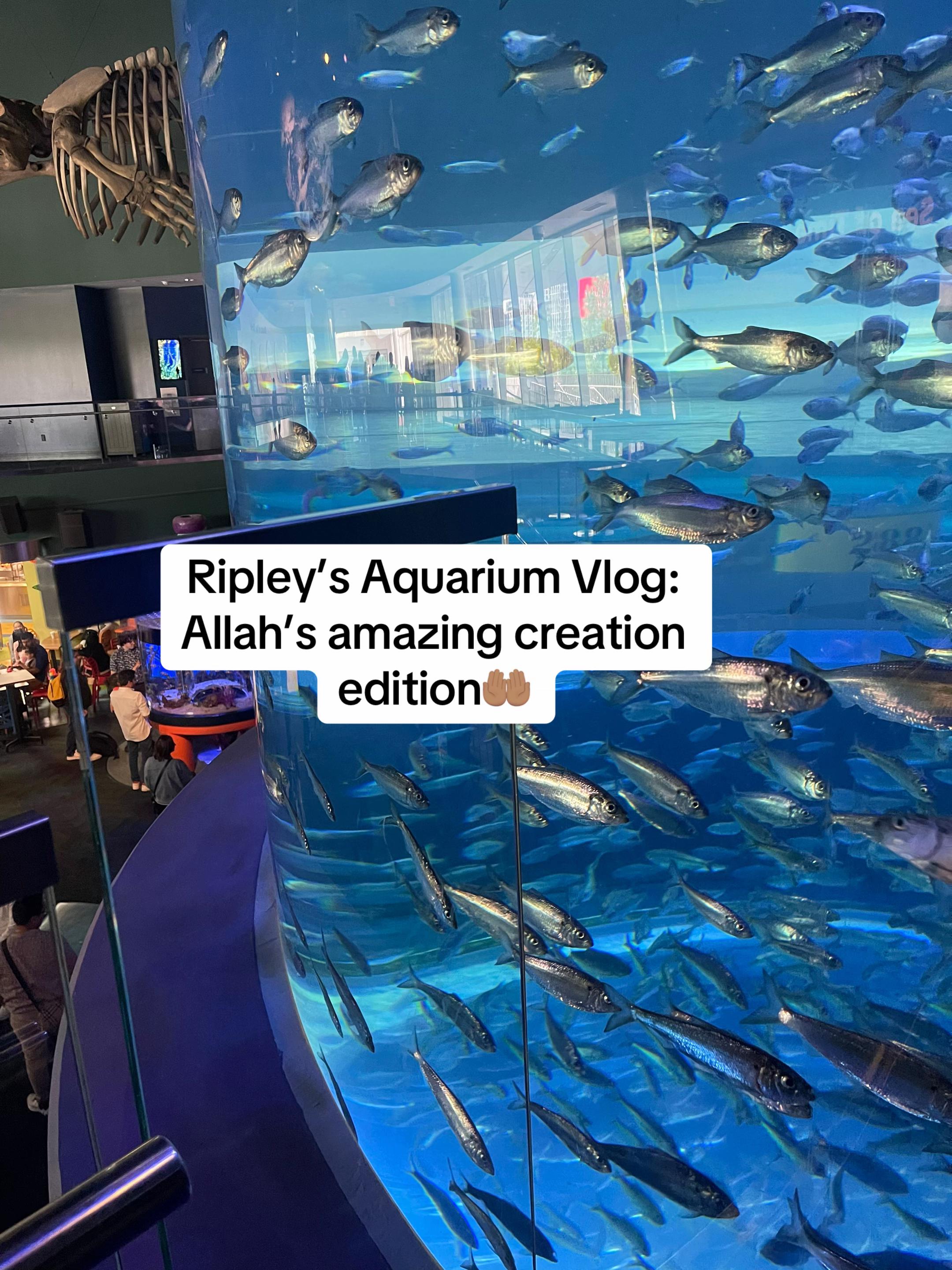 @Khatija’s Blog | Quran Student
