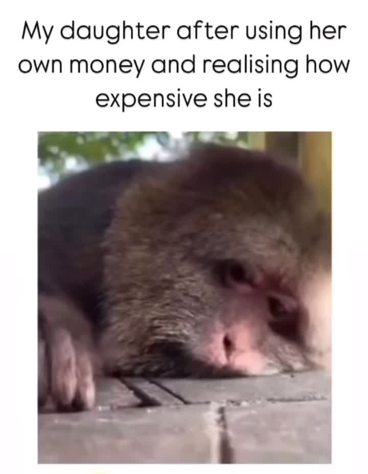 @Rando Whitey Stacy